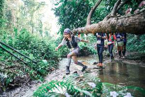 BIB: 
                            <button type="button" onclick="openModal(25464462)" class="btn btn-primary btn-sm float-right btn-popup" data-toggle="modal" data-target=".modal-high-quality">
                        <i class="fas fa-shopping-cart"></i> Add to Cart
                    </button>
                                            <button type="button" onclick="isThisMe(25464462, true)" class="btn btn-success btn-sm float-right btn-popup btn-isme hidden" data-toggle="tooltip" data-placement="bottom" title="นี่คือรูปของคุณใช่ไหม คลิกที่นี่เพื่อเอาเข้าอัลบั้ม">
                        <i class="fas fa-plus"></i> Add to album
                    </button>
                    <button type="button" onclick="isThisMe(25464462, false)" class="btn btn-warning btn-sm float-right btn-popup btn-isnotme hidden">
                        <i class="fas fa-ban"></i> Remove from album
                    </button>